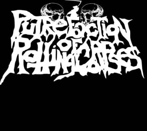 Eléments de Stupidité